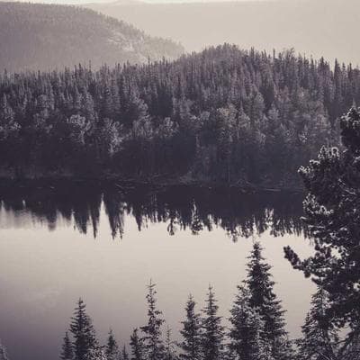 Rose quartz nail detail